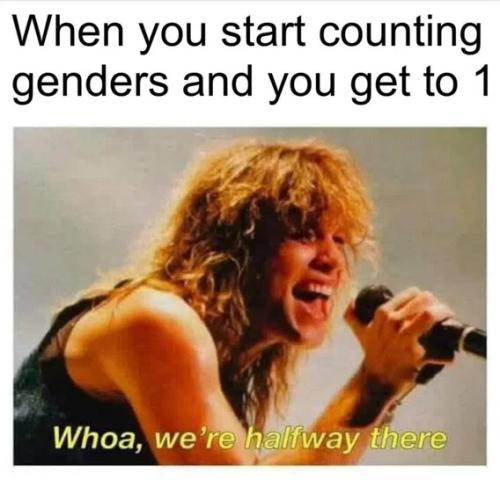 counting-genders