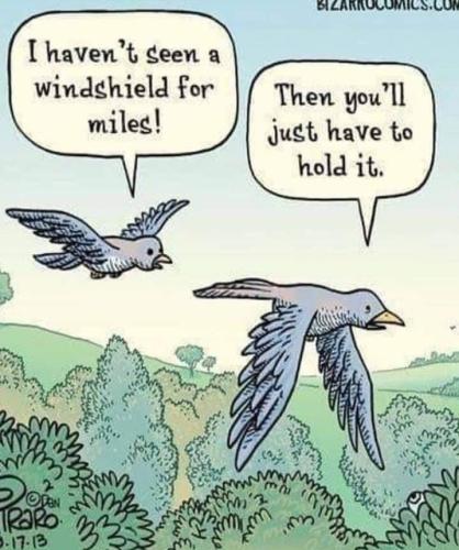 Screenshot_20260425_122057_Gallery