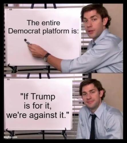 TESTHUB_photos_users_r6NeznJDMfWE20MOIU2srF5JKBB3_vT4Tc9poP^4+nU,ARNdB_img_rsz__1100x1100