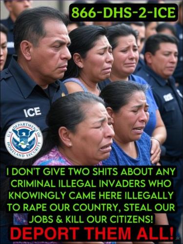 illegal immigration536