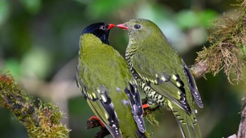 RDT_20260419_002208600254204772049104