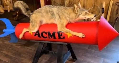 d316662c152bd999d02f3710d9135057