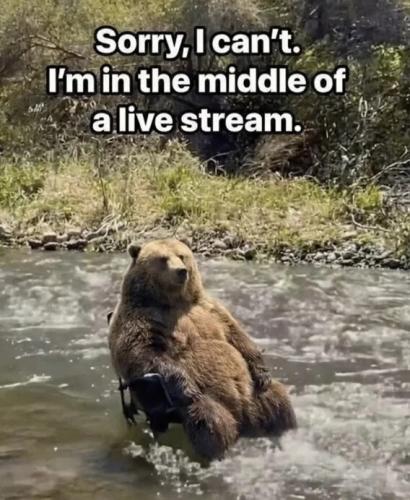 in-the-middle-of-a-live-stream