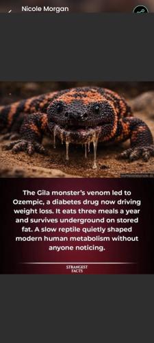 Screenshot_20260408_091301_MeWe