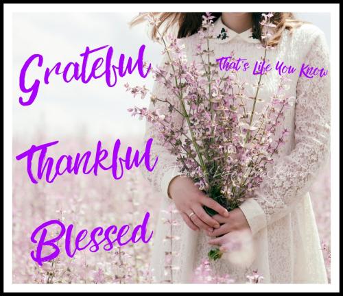 667705521_974247968279033_518969468694665047_n