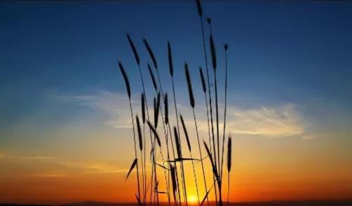 06443bdd-e2dc-4ab8-a4a9-20c48ba28665