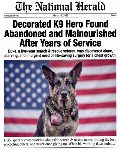 664994462_2745927592475216_6681005661204179341_n