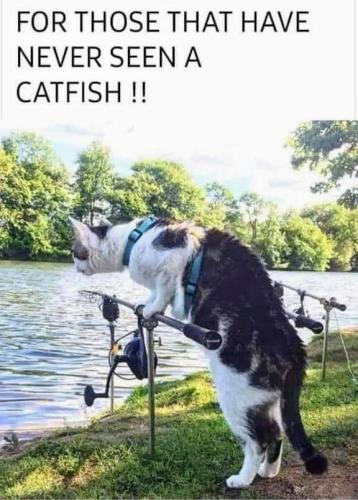 b9d416d3f097f0f436f400bad06d27b3