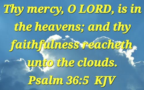 05b81e52-7d14-43f8-b44b-3ca3978f3371