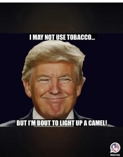 17744325372794166275075879013393_608780657491619