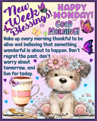 671580422_1692347272254024_3917392793673133202_n