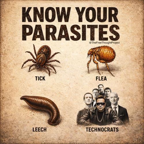 JEB POST 4-23-26 (1)