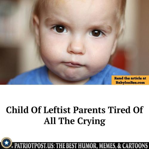 01KQ2YH4C8SKSB3ATYTP0Q561G