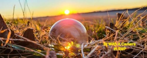 Screenshot_20260403_183131_Gallery