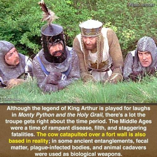 jpg23