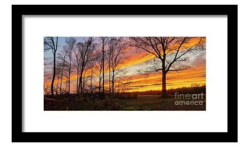 Screenshot_20260406_140051_Brave