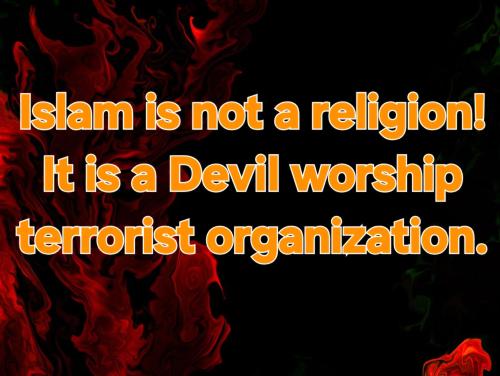 Screenshot_20260408_173547_Gallery