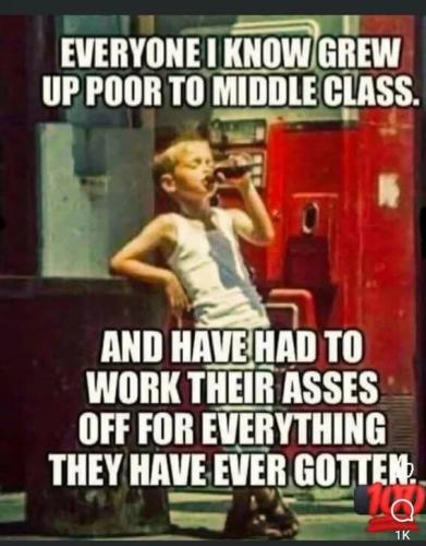 ca42df0656d7a4ce6ad03d516506ef98