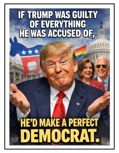perfect democrat