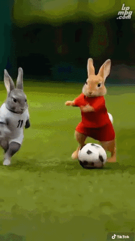 img1-ezgif.com-webp-to-gif-converter