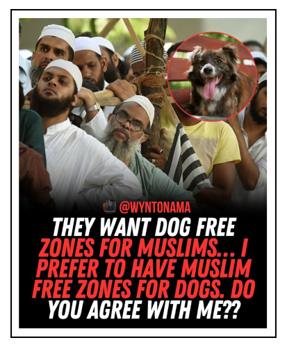 dog free zones