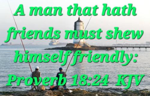 cd3b4e36-ae10-47aa-8591-bf5480d0405e