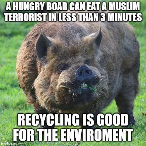 recycling