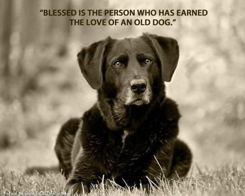 37a49b66-bc50-4f59-a092-d8f43281016f