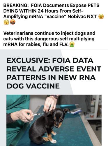 image_57CFAF2A-CABC-40FC-B0AD-BB9C9CB3BA10