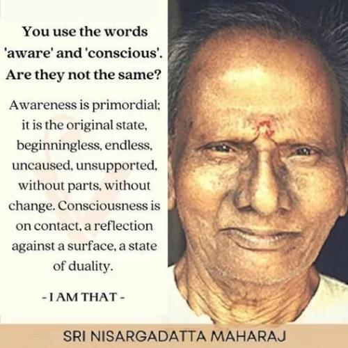 ,         418235313_73391130547