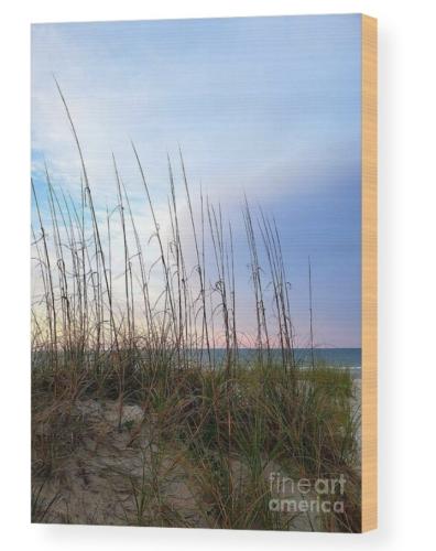 Screenshot_20260402_135911_Brave