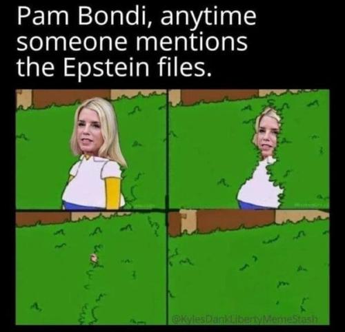 Pam-Bondi-memes-1-20250717-600x579
