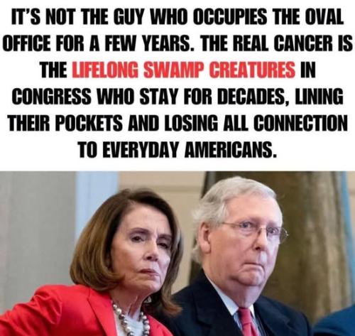 Time to clean the swamp