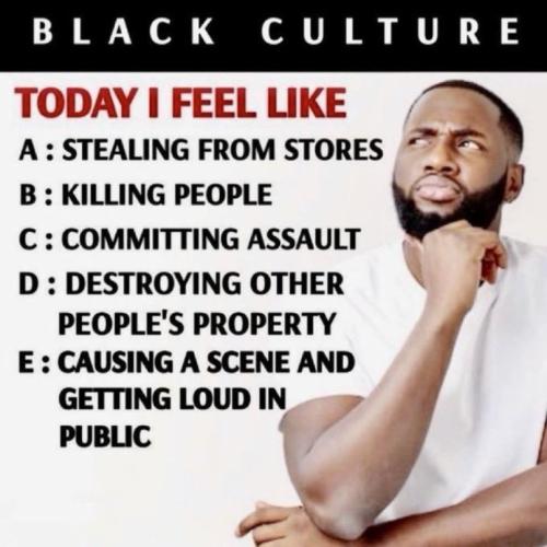 IMG_20260411_113330_021