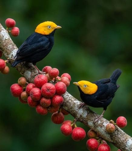 657435995_1397673265496970_4620412044167757263_n