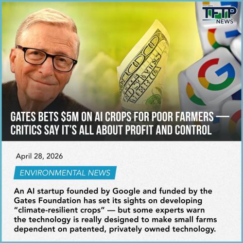 gwgwegewgwegwegwgewgwegwegewgewg