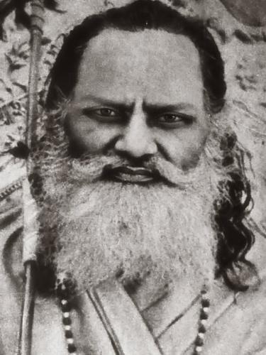 .      313104779_11556574386