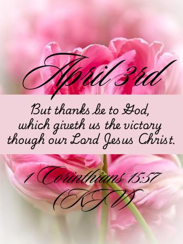 663167105_961693176365029_3970008632068894237_n