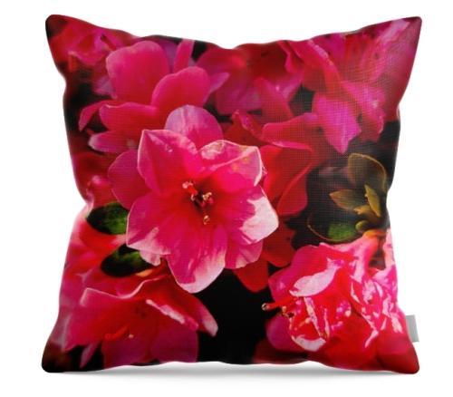 Screenshot_20260423_111521_Brave