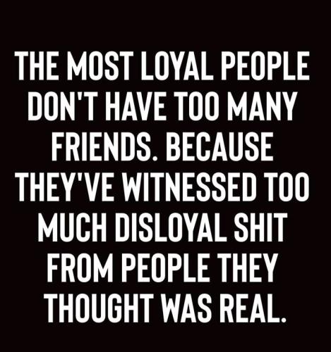 5be5b1effb20787153d3a60cfed075a5