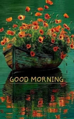 ae2f08c01df357f98cb225b6e74567ba