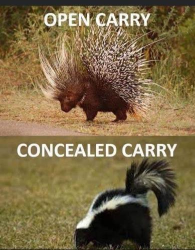 e2efc15694b0d6e6437d82cf8cbde89b