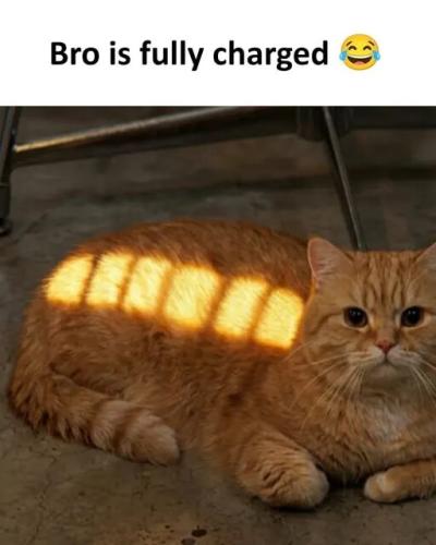 bafkreiai5fkwjlsgpligrhqpcfj3asjtkhhowcmugwdafadjt2lagrmfu4