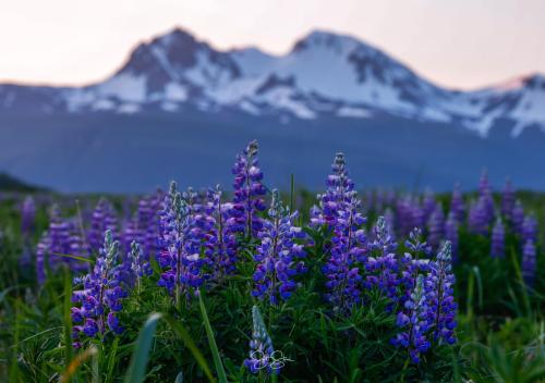 654851849_122217202028317042_1108850936280513336_n