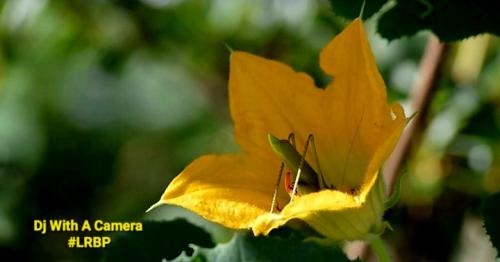 Screenshot_20260411_084849_Gallery