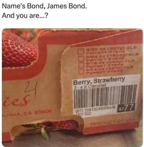 berry-strawberry