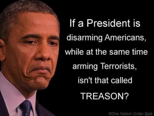 FAST AND FURIOUS OBAMA TREASON