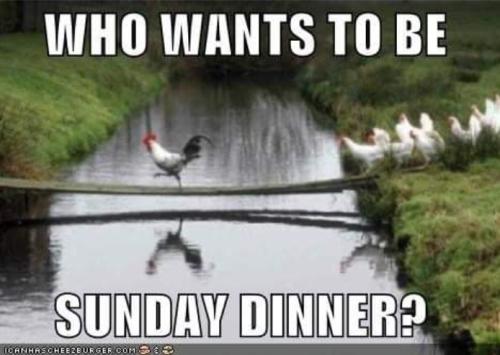 Screenshot_20260407_184939_Gallery