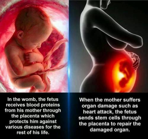 656084541_1374263594739379_2737579672906440013_n