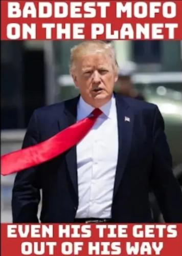 TESTHUB_photos_users_KPBY8Tc46ldqLjWXf6bqxqOW3AR2_-OiFxsPzvvPr9ys02tBl_img_rsz__1100x1100